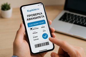 Проверка авиабилета: зачем она нужна и как её правильно выполнять