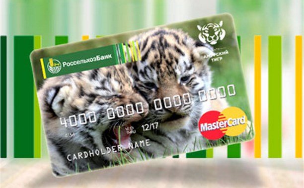 Deposit Amur tiger
