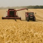 https://pixabay.com/ru/photos/комбайн-трактор-пшеницы-3562476/