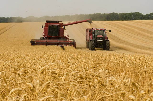 https://pixabay.com/ru/photos/комбайн-трактор-пшеницы-3562476/