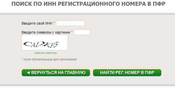 Search for the PFR registration number on the pension fund website